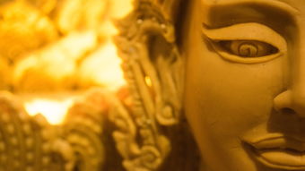 (小浣熊百将传神秘磁盘换什么)小浣熊百将传：神秘冒险之旅还能玩不