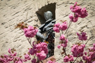 (超电磁炮t樱花)免费樱花盛放,超电磁炮守护花海 (超电磁炮t樱花)免费樱花盛放,超电磁炮守护花海