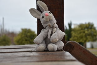 《派对游戏-閟热的兔子》：疯狂派对游戏：閟热的兔子们带来无尽欢乐和惊喜