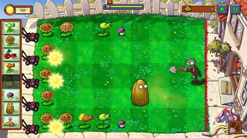 植物娘大战僵尸重制版无限金币版下载-植物娘大战僵尸重制版中文版无广告下载v.2.62 植物娘大战僵尸重制版无限金币版下载-植物娘大战僵尸重制版中文版无广告下载v.2.62