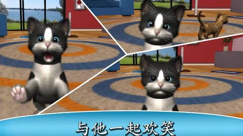 猫咪后院2国际服无敌版-猫咪后院2国际服官方正版手游下载v.6.36 猫咪后院2国际服无敌版-猫咪后院2国际服官方正版手游下载v.6.36