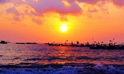 落日山丘安卓版最新版无限代币中文版下载-落日山丘安卓版无限金币修改版下载v.5.83 落日山丘安卓版最新版无限代币中文版下载-落日山丘安卓版无限金币修改版下载v.5.83