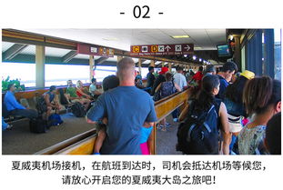 机场安检员游戏中文版官方下载-机场安检员游戏中文版手机中文正版下载v.8.99 机场安检员游戏中文版官方下载-机场安检员游戏中文版手机中文正版下载v.8.99