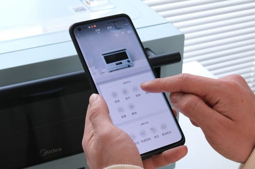 淘塔生活家庭度假村钞票版下载-淘塔生活家庭度假村下载最新版本v.6.39 淘塔生活家庭度假村钞票版下载-淘塔生活家庭度假村下载最新版本v.6.39