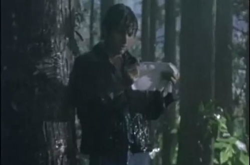 璀璨之旅怎么突然就没了？探索失去背后的真相