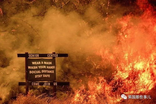 初火之炉:点燃梦想的起始,燃烧热情的熔炉,照亮前行的道路。 初火之炉:点燃梦想的起始,燃烧热情的熔炉,照亮前行的道路。