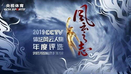 百世文华录七星剑怎么样?专业人士真实评价揭晓! 百世文华录七星剑怎么样?专业人士真实评价揭晓!