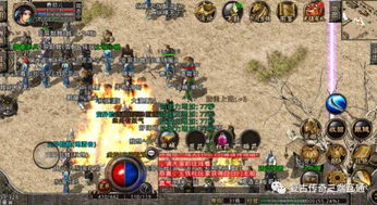 哪些合击服组合最厉害?打造最强队伍的秘籍 哪些合击服组合最厉害?打造最强队伍的秘籍