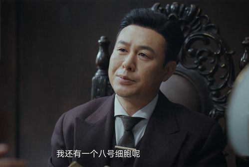 深度剖析：我不是特工康少霆和杜怀璧，只是渴望在平凡生活中寻找非凡的故事和冒险