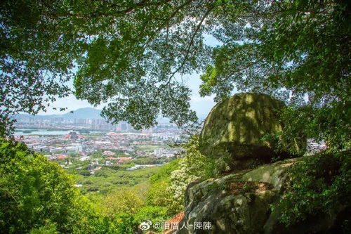 游清源山记：登高望远，感受万物生机勃发的美妙律动