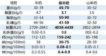 深度比较：哪款企业财务软件最好用，实用性与价值的评测分析