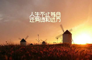 勇敢向前，不畏风雨，坚毅前行，勇攀高峰，勇拓新境，努力不停，决胜未来。