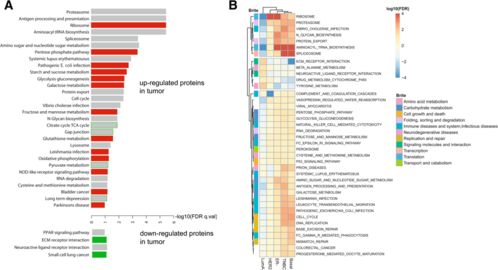 揭示:2025年新奥正版免费大全-百度同2025免费精准资料:25-42-46-10-28-22 T:22响应剖析、专家解析解释与落实,谨防误导性包装