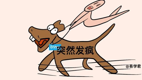 质疑:鸡、羊、鼠、蛇:新奥一马中特预测准确及7777788888新版传真-精准剖析、解释与落实,留心欺诈的套路