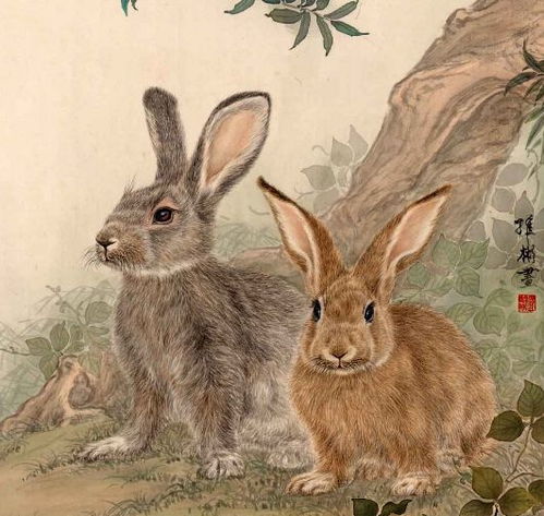 2025新港澳免费资科大全，兔、猴、鸡、牛，或2025年最精准免费精准资料全面释义明晰解答、专家解读解释与落实​-防范迷惑性推广