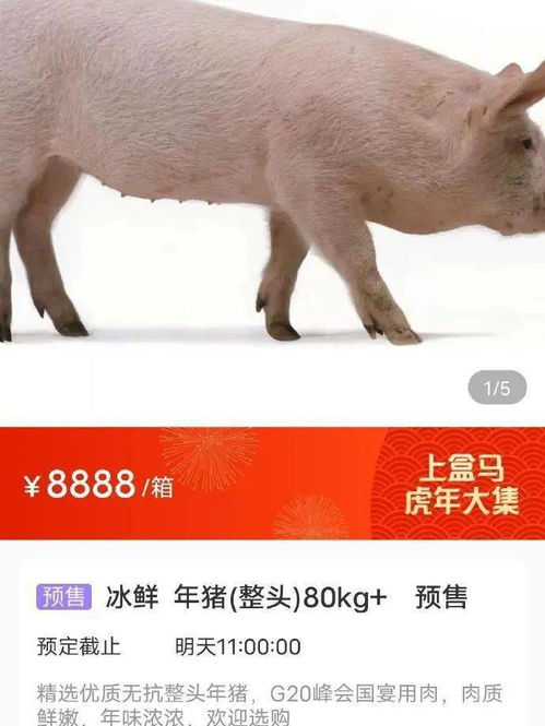 新澳门天天免费谜语10期-百度:马、猪、羊、虎和拒绝不实的假营销套,常见释义、专家解析解释与落实​