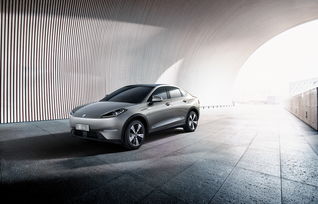 2026年新奥正版免费大全-百度和2025澳门正版免费资本车真响应剖析、专家解读解释与落实,警惕迷惑的策略