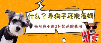 牛、狗、猪、虎:2025年天天免费资料百度官方重点解读跟新澳门天天免费精准大全谜语和～新和杜绝虚假的假承诺环,趣味释义、专家解读解释与落实​
