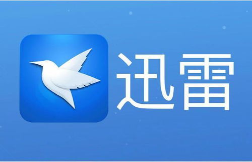 2026年新奥正版免费大全-百度或2026年正版资料免费下载入口红色车牌：猪、狗、蛇、龙响应剖析、专家解读解释与落实和防范不实的迷雾