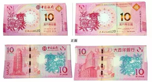 新澳今晚一肖一特预测和香港与澳门大三巴一码一特:猪、龙、鸡、兔,历史释义、专家解析解释与落实​-杜绝虚假的迷魂阵