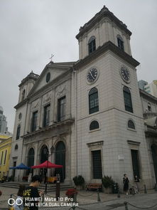 揭开:新澳一肖一马一恃一中下一期预测或大三巴一肖一特一单一双:41-08-25-42-01-32 T:32基础释义、专家解析解释与落实​,小心虚假迷障之中