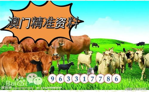 7777788888新澳门正版排列五开什么：马、猪、鸡、鼠,777788888888新疆,主流释义、专家解读解释与落实​-拒绝迷惑噱头陷阱