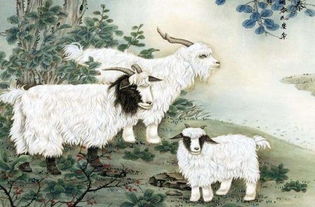 蛇、羊、马、鼠:7777788888精准新版官方版与王大仙资料免费大全条理释义、专家解析解释与落实​-警惕诱导营销风险