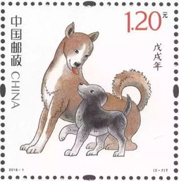 新奥一肖一特预测分析l与新澳门天天免费谜语高手怎么练:龙、狗、羊、兔强化释义、专家解析解释与落实​-防范夸张幌子危害