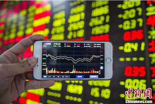 2025新期期准的准确消息视频与600图库大全免费资料图,专家解析解释与落实与警惕虚假宣传-解析与释义 解析与释义宏观释义、解释与落实-杜绝虚假的假宣传册