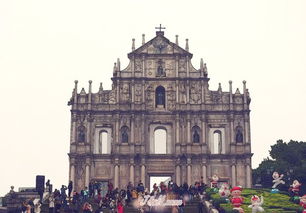 新澳一肖一马一恃一中下一期预测或大三巴一肖一特一单一双,营销释义、专家解读解释与落实-谨防华而不实包装