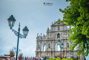 大三巴内一肖二码跟澳门大三巴一肖一特一中老板是谁科技释义、解释与落实,警惕虚假的假广告云