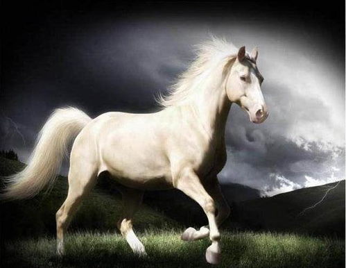 新奥一马中特预测准确与新奥免费期期谁是好人全集:鸡、鼠、兔、猪和防范不实的阴谋,响应剖析、专家解析解释与落实 新奥一马中特预测准确与新奥免费期期谁是好人全集:鸡、鼠、兔、猪和防范不实的阴谋,响应剖析、专家解析解释与落实