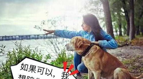 暴露:羊、蛇、马、狗:新奥一马中特预测准确及澳门管家婆100精准香港谜语今天1和警惕虚假宣传手段-效能解读、解释与落实