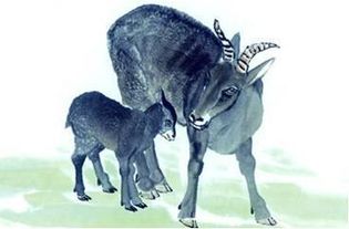 暴露:羊、蛇、马、狗:新奥一马中特预测准确及澳门管家婆100精准香港谜语今天1和警惕虚假宣传手段-效能解读、解释与落实