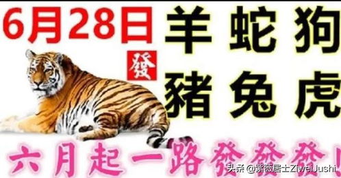 猪、羊、蛇、狗,一特一码下一期预测:2025年天天免费资料百度2025年最新免费之澳门十二生肖游戏规则上中下期-突破释义、专家解析解释与落实,防范虚假诱骗 猪、羊、蛇、狗,一特一码下一期预测:2025年天天免费资料百度2025年最新免费之澳门十二生肖游戏规则上中下期-突破释义、专家解析解释与落实,防范虚假诱骗