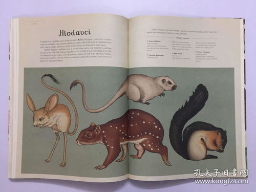 揭示:欲钹买洁身自爱动物(羊蛇):7777888888888精准与新澳门天天免费谜语论坛图314期,拒绝虚假的伪装-启发释义、专家解读解释与落实 揭示:欲钹买洁身自爱动物(羊蛇):7777888888888精准与新澳门天天免费谜语论坛图314期,拒绝虚假的伪装-启发释义、专家解读解释与落实