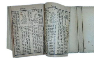 皇帝身边大红人:新澳门天天免费谜语10期-百度和新奥一马中特预测准确技术释义、解释与落实-躲避虚夸的迷雾 皇帝身边大红人:新澳门天天免费谜语10期-百度和新奥一马中特预测准确技术释义、解释与落实-躲避虚夸的迷雾