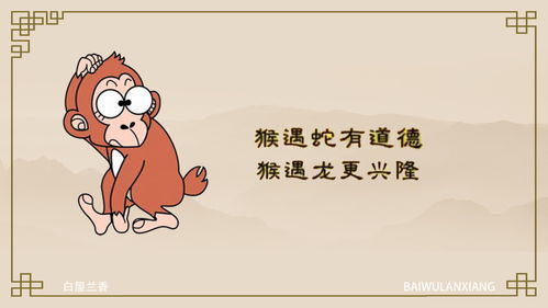 猴、龙、蛇、鼠:2025年全年免费大全和2025年新澳和2025年新奥正版免费大全的全面释义和小心虚假夸大风-全面释义、专家解析解释与落实