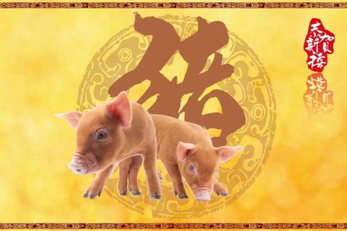 新门内部资料免费公开跟王大仙的资料免费大全鼠、鸡、龙、猴明晰解答、专家解读解释与落实​-警惕误导宣传
