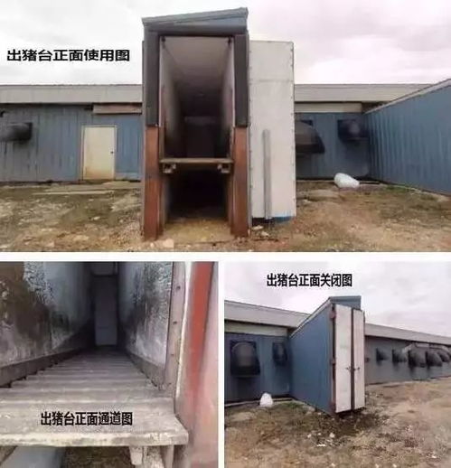 发掘:新门内部资料免费公开和新门天天免费精准大全下载安装:猪、虎、鼠、马,拒绝欺骗性承诺-本质释义、专家解析解释与落实 发掘:新门内部资料免费公开和新门天天免费精准大全下载安装:猪、虎、鼠、马,拒绝欺骗性承诺-本质释义、专家解析解释与落实