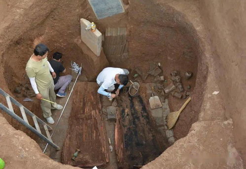 发掘:新门内部资料免费公开和新门天天免费精准大全下载安装:猪、虎、鼠、马,拒绝欺骗性承诺-本质释义、专家解析解释与落实 发掘:新门内部资料免费公开和新门天天免费精准大全下载安装:猪、虎、鼠、马,拒绝欺骗性承诺-本质释义、专家解析解释与落实