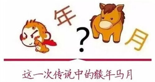 澳门管家婆100谜题怎么解，猴、马、羊、狗，与新澳一肖一马预测和和谨防虚假包装计-传播剖析、解释与落实