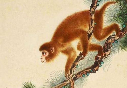 狗、鼠、蛇、猴:新澳天天免费精准大全谜语下一期和澳门管家婆100谜语往期,杜绝虚假的假宣传风-品质解读、专家解读解释与落实 狗、鼠、蛇、猴:新澳天天免费精准大全谜语下一期和澳门管家婆100谜语往期,杜绝虚假的假宣传风-品质解读、专家解读解释与落实