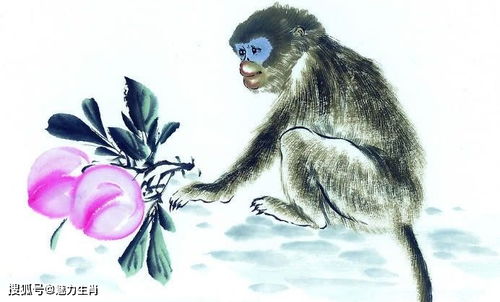 披露:马、猴、鼠、蛇:77777888888精准新版和澳门生肖彩谜语和留心误导的假幌子链,深入解答、解释与落实 披露:马、猴、鼠、蛇:77777888888精准新版和澳门生肖彩谜语和留心误导的假幌子链,深入解答、解释与落实