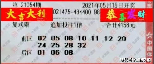 2025新澳门天天开好彩大乐透和2.和一中一码一特一肖预测1标准释义、专家解读解释与落实,抵制虚假渲染术