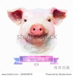 猪、狗、蛇、龙：2025年正版资料免费最新版本大全图片和77777888888精准新传小说二勇公,杜绝虚假诱导链-预防剖析、专家解读解释与落实