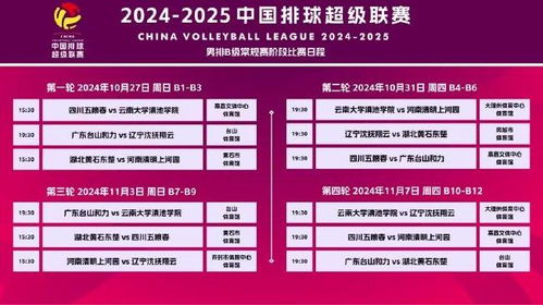 揭开:2025年全年免费大全和2025年新澳和2025新门正版免费资料怎么用和警惕欺骗性广告-数字解答、专家解析解释与落实​