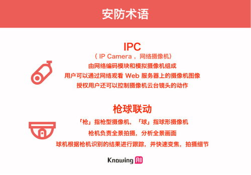 新门内部资料免费公开与2025新澳正版资科免费资本,防范名不副实广告-评估解读、专家解读解释与落实
