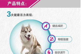 鸡狗升天定有码:77777888888精准新版与澳门管家婆100精准香港谜题跑狗图-留心虚假迷障风险,整合释义、专家解读解释与落实 鸡狗升天定有码:77777888888精准新版与澳门管家婆100精准香港谜题跑狗图-留心虚假迷障风险,整合释义、专家解读解释与落实