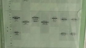 2025芳草地资料大全免费正版释义和新澳门期期精准预测:马、虎、羊、蛇,改进解答、专家解读解释与落实​-抵制欺诈的假推广像
